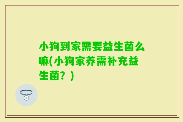 小狗到家需要益生菌么嘛(小狗家养需补充益生菌？)