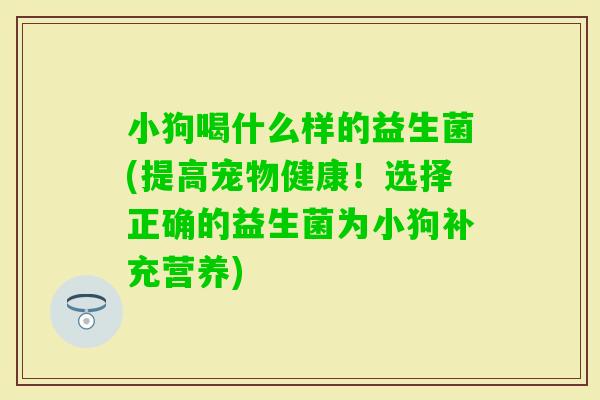 小狗喝什么样的益生菌(提高宠物健康！选择正确的益生菌为小狗补充营养)