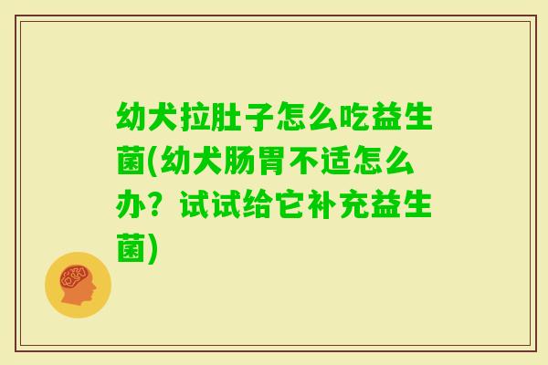 幼犬拉肚子怎么吃益生菌(幼犬肠胃不适怎么办？试试给它补充益生菌)
