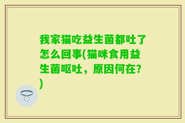 我家猫吃益生菌都吐了怎么回事(猫咪食用益生菌,原因何在?) 我家猫吃益生菌都吐了怎么回事(猫咪食用益生菌,原因何在?)
