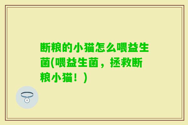 断粮的小猫怎么喂益生菌(喂益生菌,拯救断粮小猫!) 断粮的小猫怎么喂益生菌(喂益生菌,拯救断粮小猫!)