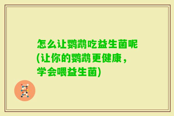 怎么让鹦鹉吃益生菌呢(让你的鹦鹉更健康,学会喂益生菌) 怎么让鹦鹉吃益生菌呢(让你的鹦鹉更健康,学会喂益生菌)