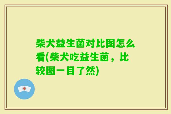 柴犬益生菌对比图怎么看(柴犬吃益生菌,比较图一目了然) 柴犬益生菌对比图怎么看(柴犬吃益生菌,比较图一目了然)