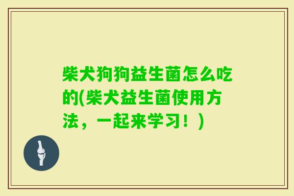柴犬狗狗益生菌怎么吃的(柴犬益生菌使用方法，一起来学习！)