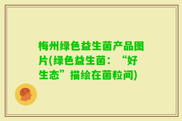 梅州绿色益生菌产品图片(绿色益生菌：“好生态”描绘在菌粒间)