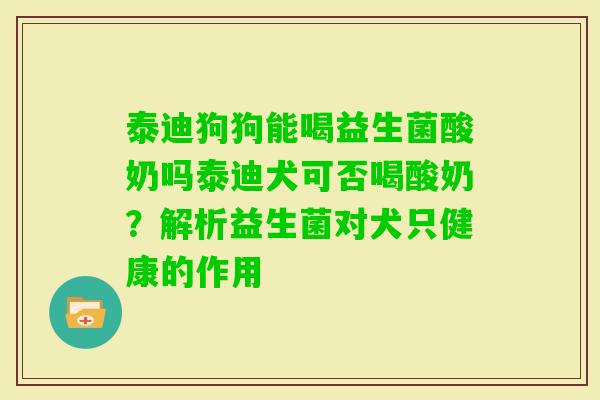 泰迪狗狗能喝益生菌酸奶吗泰迪犬可否喝酸奶?解析益生菌对犬只健康的作用 泰迪狗狗能喝益生菌酸奶吗泰迪犬可否喝酸奶?解析益生菌对犬只健康的作用