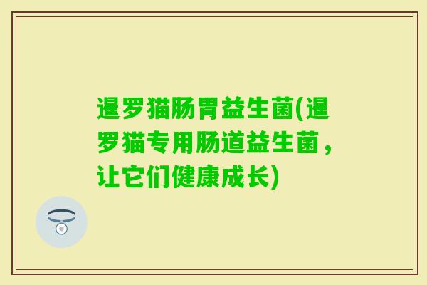 暹罗猫肠胃益生菌(暹罗猫专用肠道益生菌,让它们健康成长) 暹罗猫肠胃益生菌(暹罗猫专用肠道益生菌,让它们健康成长)