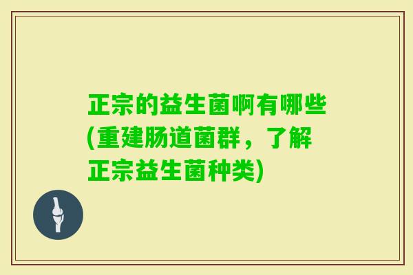 正宗的益生菌啊有哪些(重建肠道菌群,了解正宗益生菌种类) 正宗的益生菌啊有哪些(重建肠道菌群,了解正宗益生菌种类)