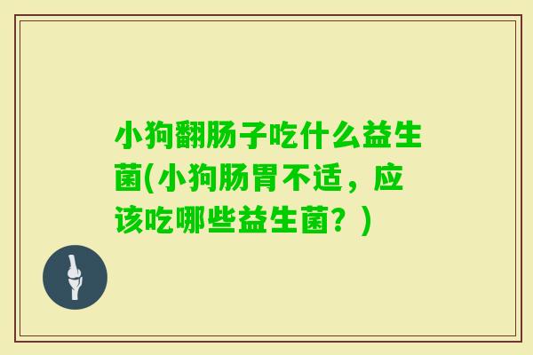 小狗翻肠子吃什么益生菌(小狗肠胃不适,应该吃哪些益生菌?) 小狗翻肠子吃什么益生菌(小狗肠胃不适,应该吃哪些益生菌?)
