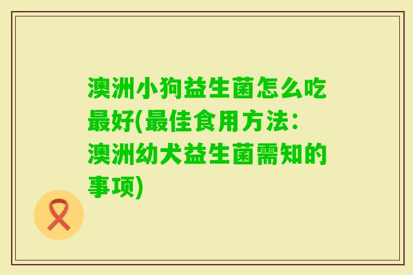 澳洲小狗益生菌怎么吃好(佳食用方法:澳洲幼犬益生菌需知的事项) 澳洲小狗益生菌怎么吃好(佳食用方法:澳洲幼犬益生菌需知的事项)