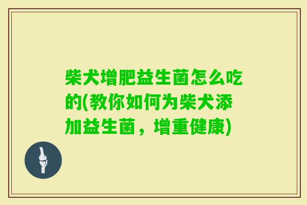 柴犬增肥益生菌怎么吃的(教你如何为柴犬添加益生菌,增重健康) 柴犬增肥益生菌怎么吃的(教你如何为柴犬添加益生菌,增重健康)