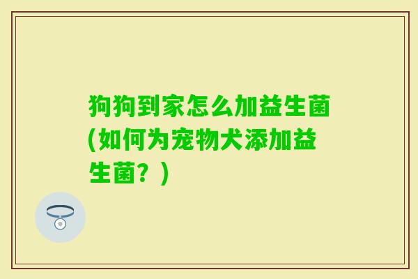 狗狗到家怎么加益生菌(如何为宠物犬添加益生菌?) 狗狗到家怎么加益生菌(如何为宠物犬添加益生菌?)