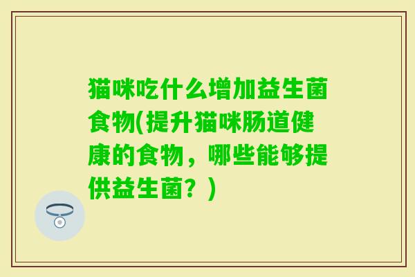 猫咪吃什么增加益生菌食物(提升猫咪肠道健康的食物,哪些能够提供益生菌?) 猫咪吃什么增加益生菌食物(提升猫咪肠道健康的食物,哪些能够提供益生菌?)