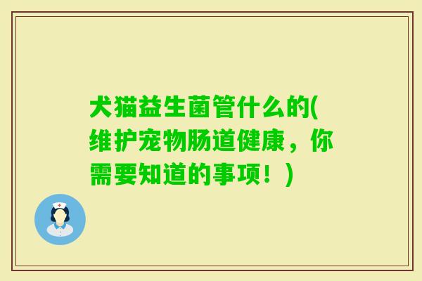 犬猫益生菌管什么的(维护宠物肠道健康,你需要知道的事项!) 犬猫益生菌管什么的(维护宠物肠道健康,你需要知道的事项!)