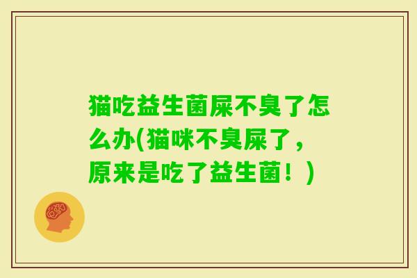 猫吃益生菌屎不臭了怎么办(猫咪不臭屎了,原来是吃了益生菌!) 猫吃益生菌屎不臭了怎么办(猫咪不臭屎了,原来是吃了益生菌!)