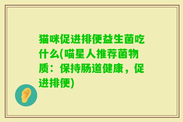 猫咪促进排便益生菌吃什么(喵星人推荐菌物质:保持肠道健康,促进排便) 猫咪促进排便益生菌吃什么(喵星人推荐菌物质:保持肠道健康,促进排便)