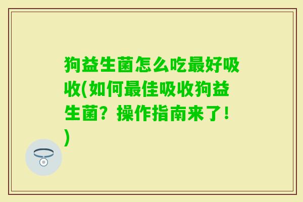 狗益生菌怎么吃好吸收(如何佳吸收狗益生菌？操作指南来了！)