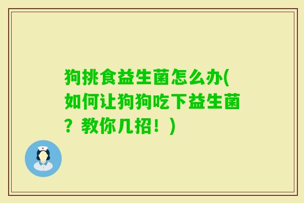 狗挑食益生菌怎么办(如何让狗狗吃下益生菌？教你几招！)