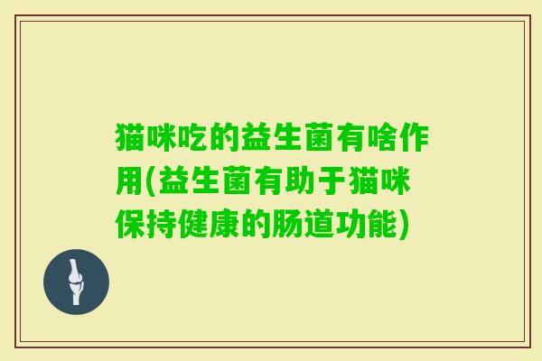 猫咪吃的益生菌有啥作用(益生菌有助于猫咪保持健康的肠道功能)