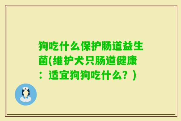 狗吃什么保护肠道益生菌(维护犬只肠道健康:适宜狗狗吃什么?) 狗吃什么保护肠道益生菌(维护犬只肠道健康:适宜狗狗吃什么?)