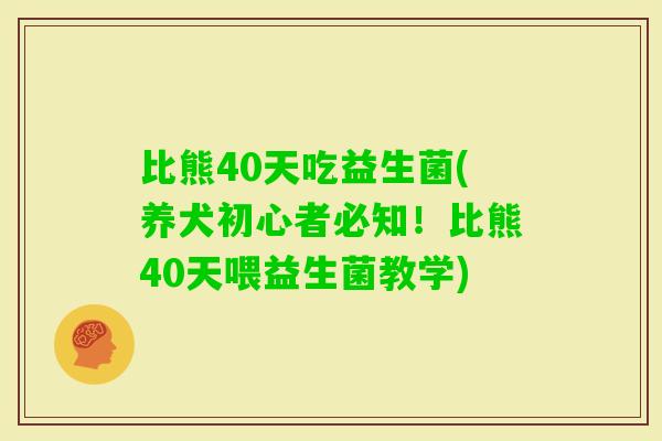 比熊40天吃益生菌(养犬初心者必知！比熊40天喂益生菌教学)