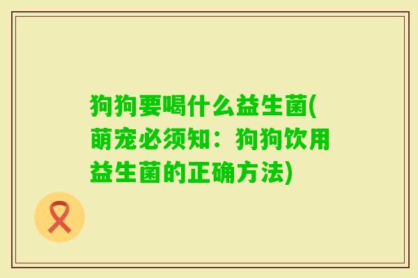 狗狗要喝什么益生菌(萌宠必须知:狗狗饮用益生菌的正确方法) 狗狗要喝什么益生菌(萌宠必须知:狗狗饮用益生菌的正确方法)