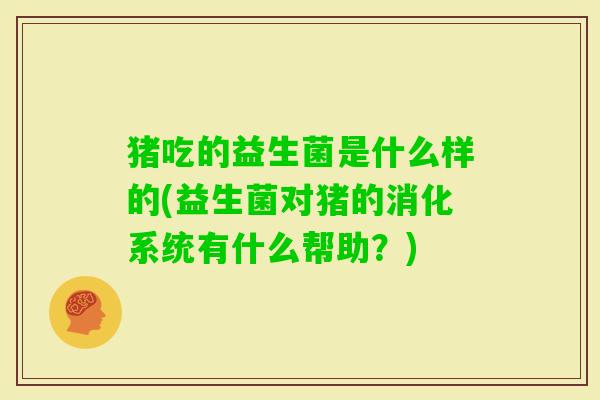 猪吃的益生菌是什么样的(益生菌对猪的消化系统有什么帮助?) 猪吃的益生菌是什么样的(益生菌对猪的消化系统有什么帮助?)