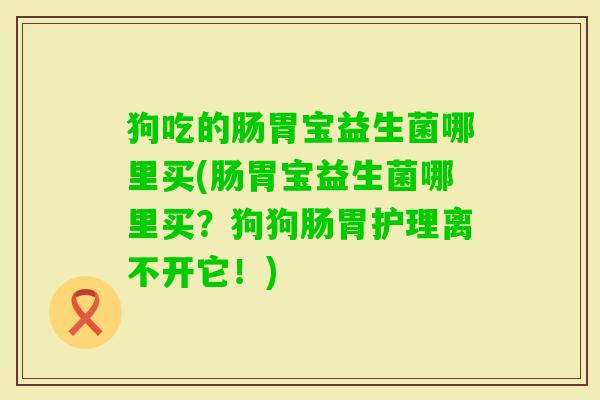 狗吃的肠胃宝益生菌哪里买(肠胃宝益生菌哪里买？狗狗肠胃护理离不开它！)