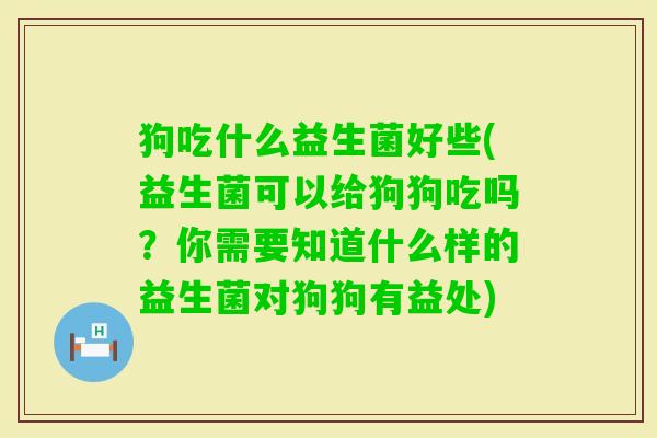狗吃什么益生菌好些(益生菌可以给狗狗吃吗？你需要知道什么样的益生菌对狗狗有益处)