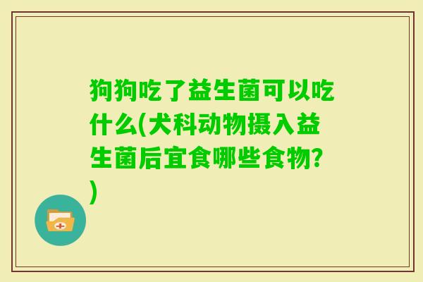 狗狗吃了益生菌可以吃什么(犬科动物摄入益生菌后宜食哪些食物？)
