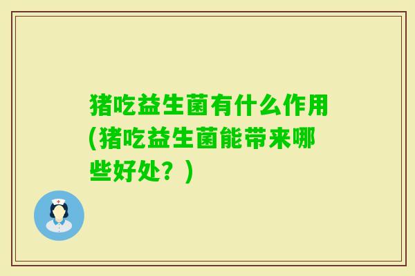 猪吃益生菌有什么作用(猪吃益生菌能带来哪些好处?) 猪吃益生菌有什么作用(猪吃益生菌能带来哪些好处?)