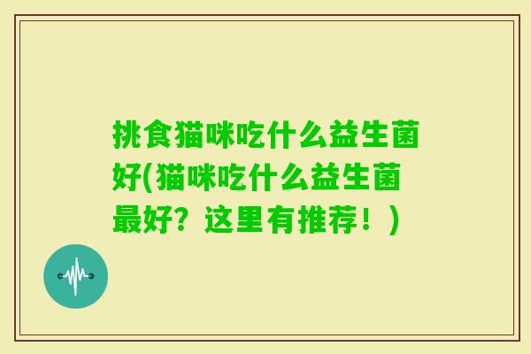 挑食猫咪吃什么益生菌好(猫咪吃什么益生菌好？这里有推荐！)