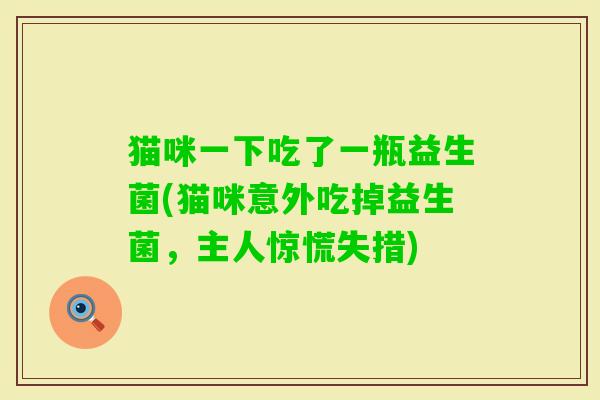 猫咪一下吃了一瓶益生菌(猫咪意外吃掉益生菌,主人惊慌失措) 猫咪一下吃了一瓶益生菌(猫咪意外吃掉益生菌,主人惊慌失措)