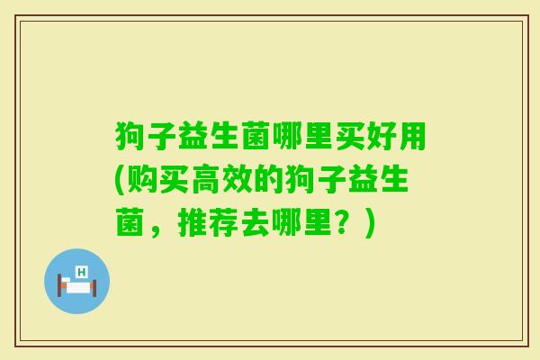 狗子益生菌哪里买好用(购买高效的狗子益生菌，推荐去哪里？)