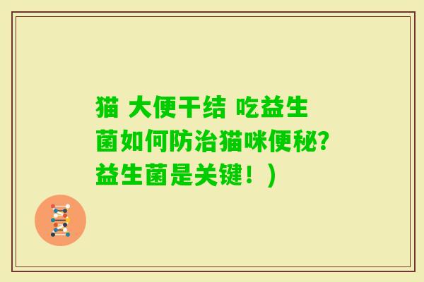 猫 大便干结 吃益生菌如何防猫咪?益生菌是关键!) 猫 大便干结 吃益生菌如何防猫咪?益生菌是关键!)