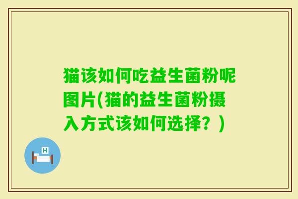 猫该如何吃益生菌粉呢图片(猫的益生菌粉摄入方式该如何选择？)