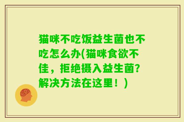 猫咪不吃饭益生菌也不吃怎么办(猫咪不佳,拒绝摄入益生菌?解决方法在这里!) 猫咪不吃饭益生菌也不吃怎么办(猫咪不佳,拒绝摄入益生菌?解决方法在这里!)