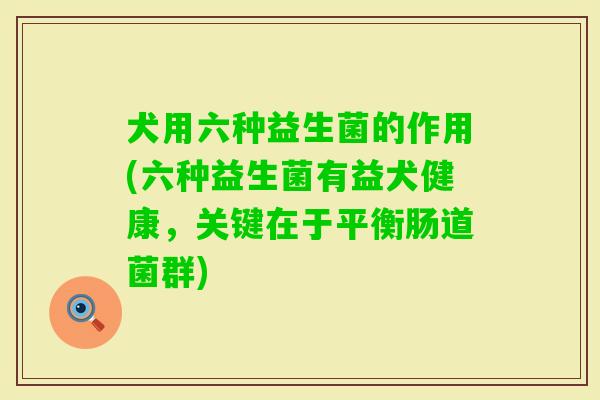 犬用六种益生菌的作用(六种益生菌有益犬健康,关键在于平衡肠道菌群) 犬用六种益生菌的作用(六种益生菌有益犬健康,关键在于平衡肠道菌群)