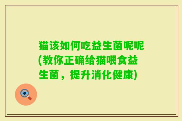 猫该如何吃益生菌呢呢(教你正确给猫喂食益生菌，提升消化健康)