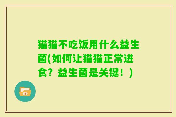 猫猫不吃饭用什么益生菌(如何让猫猫正常进食？益生菌是关键！)