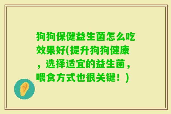 狗狗保健益生菌怎么吃效果好(提升狗狗健康，选择适宜的益生菌，喂食方式也很关键！)