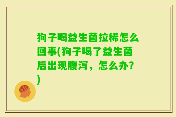 狗子喝益生菌拉稀怎么回事(狗子喝了益生菌后出现,怎么办?) 狗子喝益生菌拉稀怎么回事(狗子喝了益生菌后出现,怎么办?)