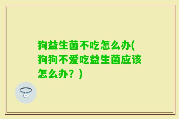 狗益生菌不吃怎么办(狗狗不爱吃益生菌应该怎么办?) 狗益生菌不吃怎么办(狗狗不爱吃益生菌应该怎么办?)