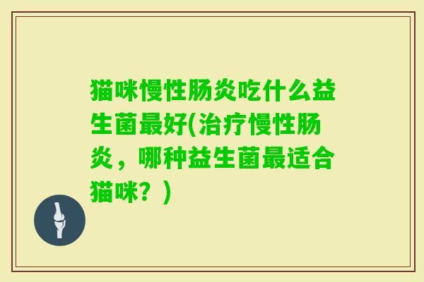 猫咪慢性吃什么益生菌好(慢性,哪种益生菌适合猫咪?) 猫咪慢性吃什么益生菌好(慢性,哪种益生菌适合猫咪?)
