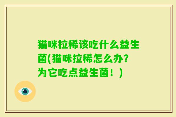 猫咪拉稀该吃什么益生菌(猫咪拉稀怎么办?为它吃点益生菌!) 猫咪拉稀该吃什么益生菌(猫咪拉稀怎么办?为它吃点益生菌!)