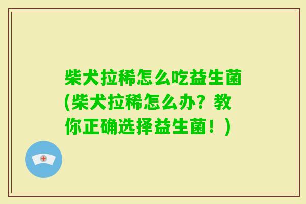 柴犬拉稀怎么吃益生菌(柴犬拉稀怎么办?教你正确选择益生菌!) 柴犬拉稀怎么吃益生菌(柴犬拉稀怎么办?教你正确选择益生菌!)
