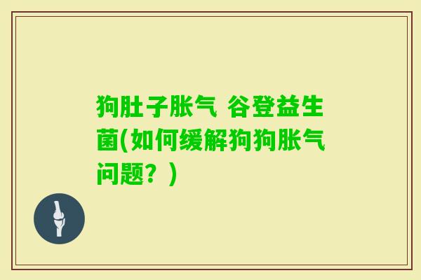 狗肚子 谷登益生菌(如何缓解狗狗问题?) 狗肚子 谷登益生菌(如何缓解狗狗问题?)