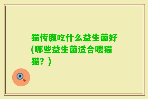 猫传腹吃什么益生菌好(哪些益生菌适合喂猫猫？)