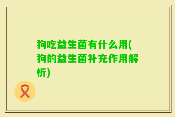 狗吃益生菌有什么用(狗的益生菌补充作用解析) 狗吃益生菌有什么用(狗的益生菌补充作用解析)
