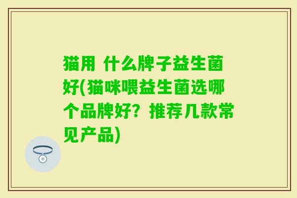 猫用 什么牌子益生菌好(猫咪喂益生菌选哪个品牌好？推荐几款常见产品)
